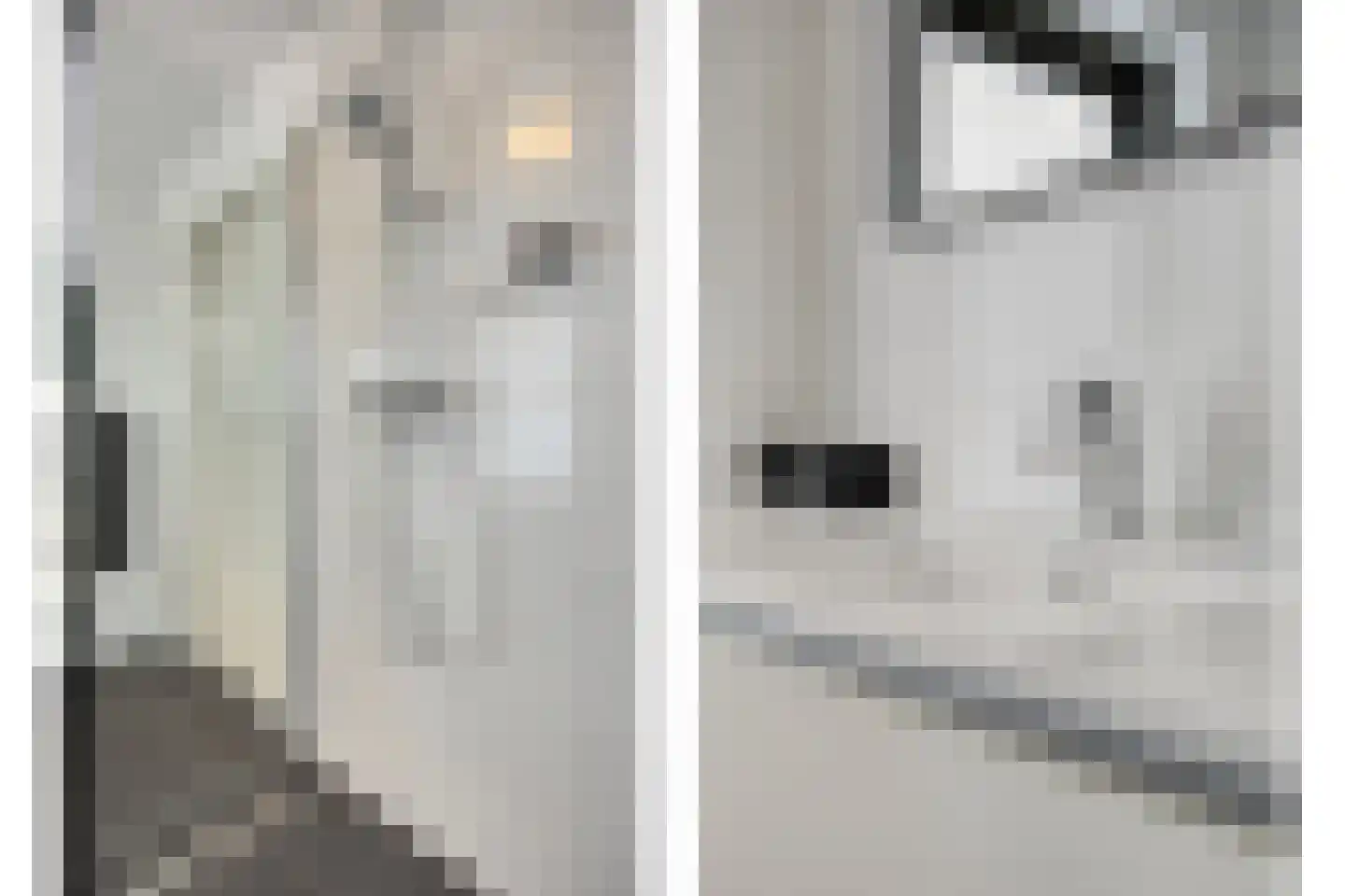 Costerman Boodtstraat 2 Goirle thumbnail 38