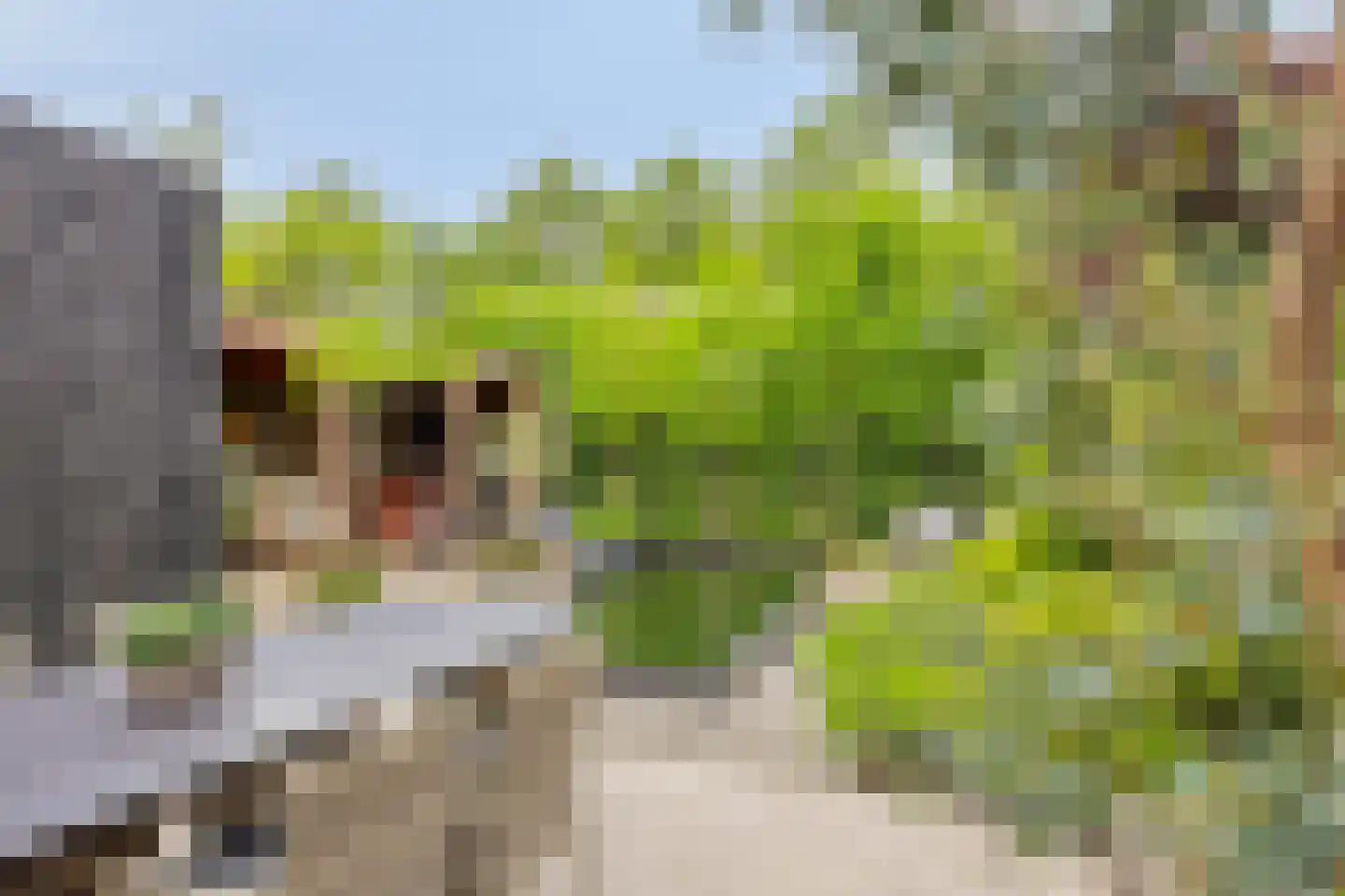 Costerman Boodtstraat 2 Goirle thumbnail 41