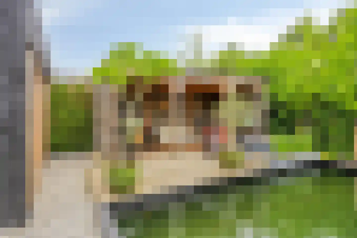 Costerman Boodtstraat 2 Goirle thumbnail 44