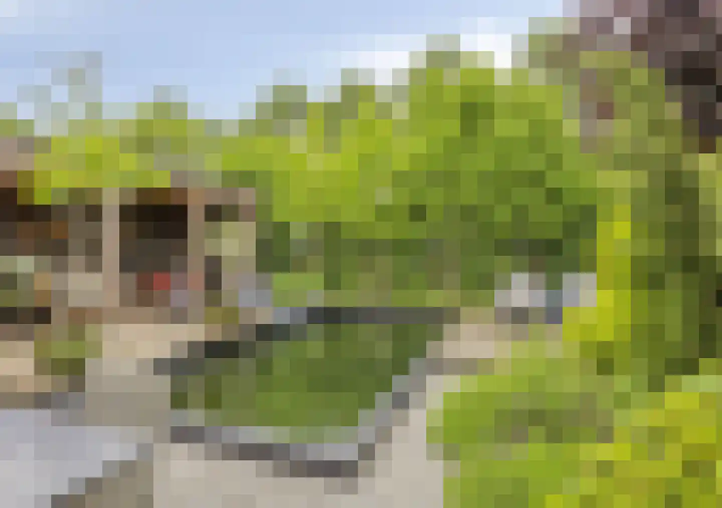 Costerman Boodtstraat 2 Goirle thumbnail 6