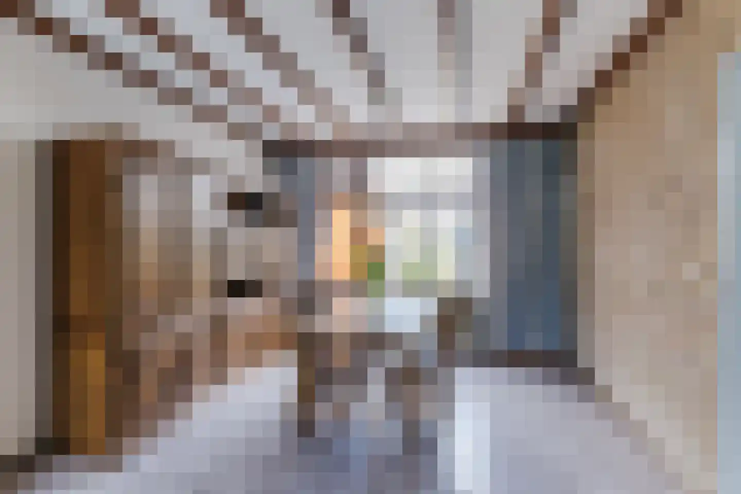 Costerman Boodtstraat 29 Goirle thumbnail 8
