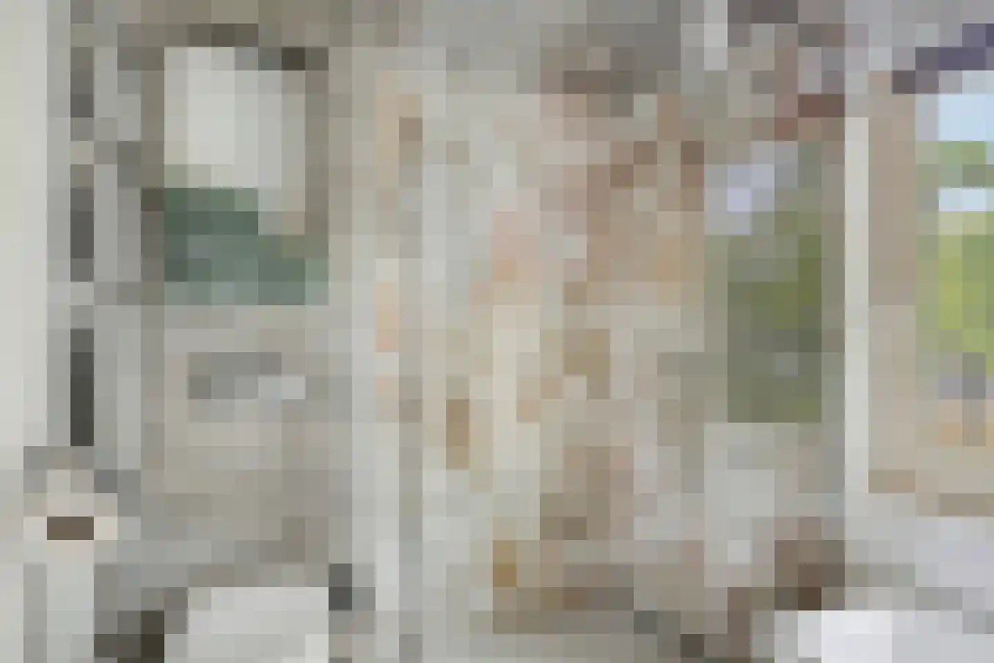 Costerman Boodtstraat 64 Goirle thumbnail 4