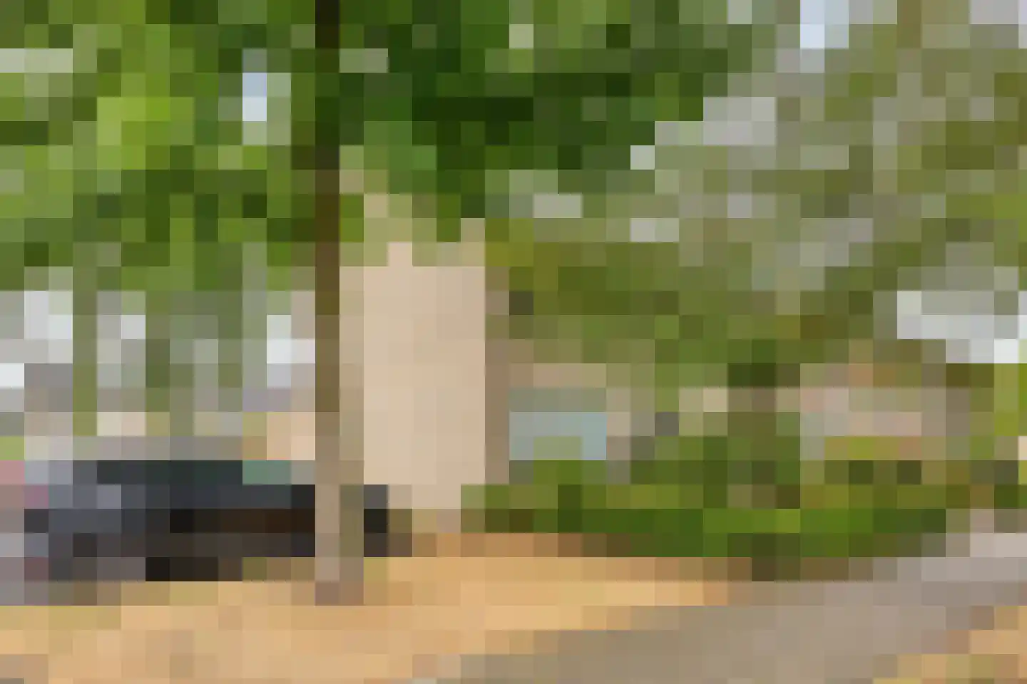 Costerman Boodtstraat 64 Goirle thumbnail 6