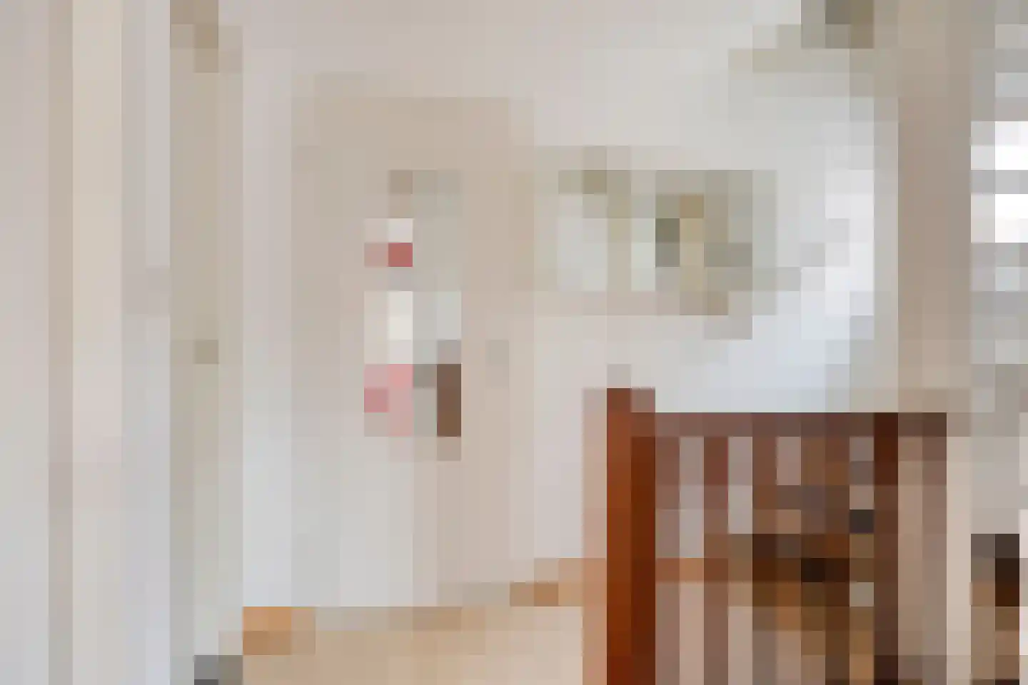 Costerman Boodtstraat 8 Goirle thumbnail 19