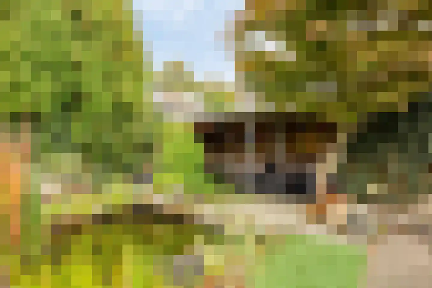 Costerman Boodtstraat 8 Goirle thumbnail 33