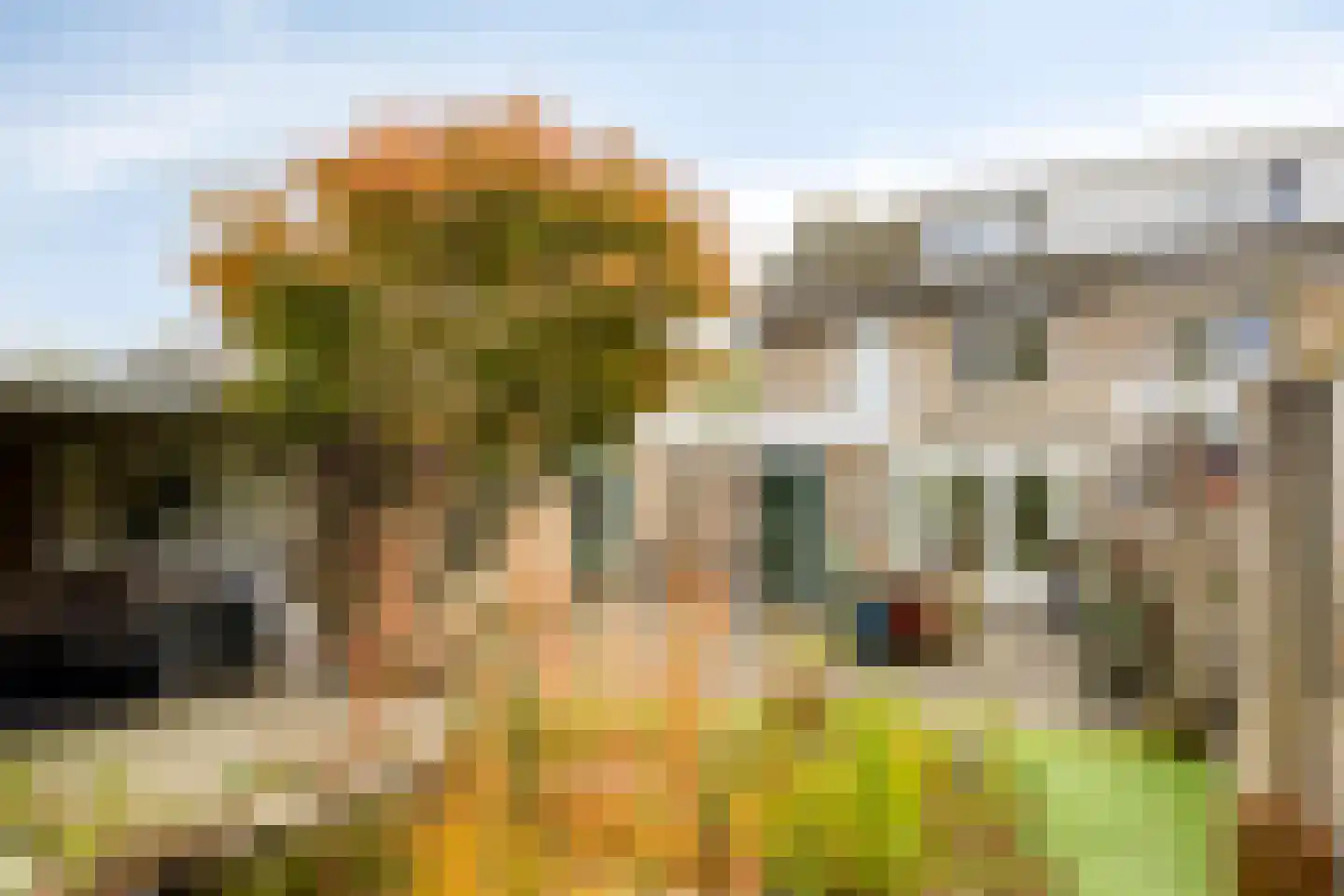 Costerman Boodtstraat 8 Goirle thumbnail 34