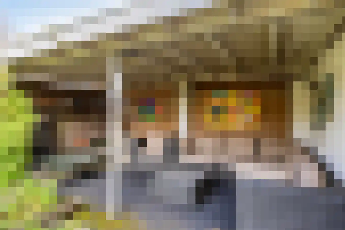 Costerman Boodtstraat 8 Goirle thumbnail 35