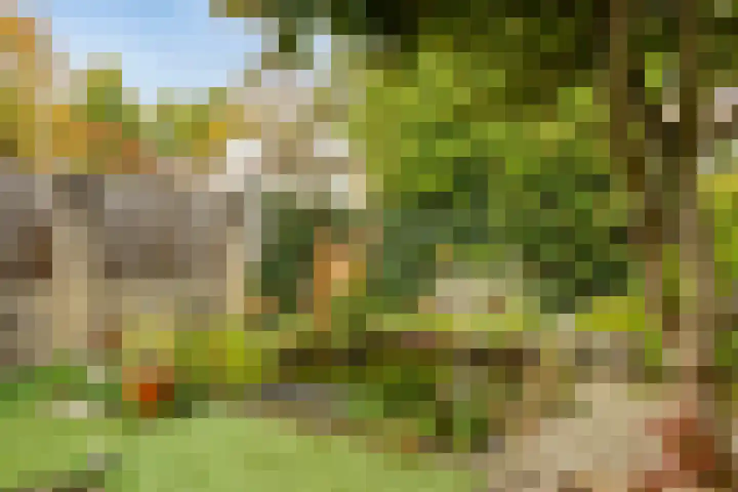 Costerman Boodtstraat 8 Goirle thumbnail 36