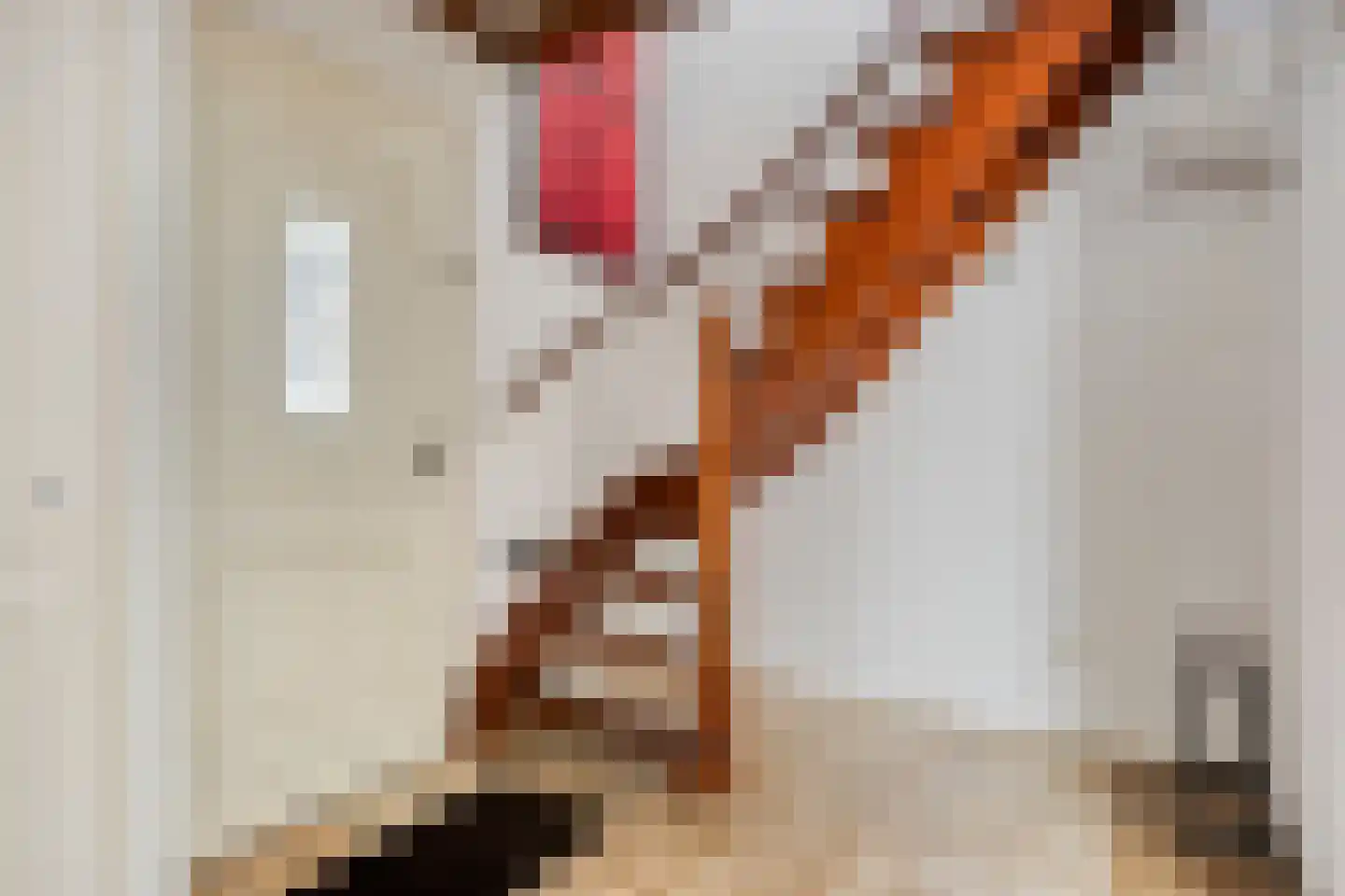 Costerman Boodtstraat 8 Goirle thumbnail 4