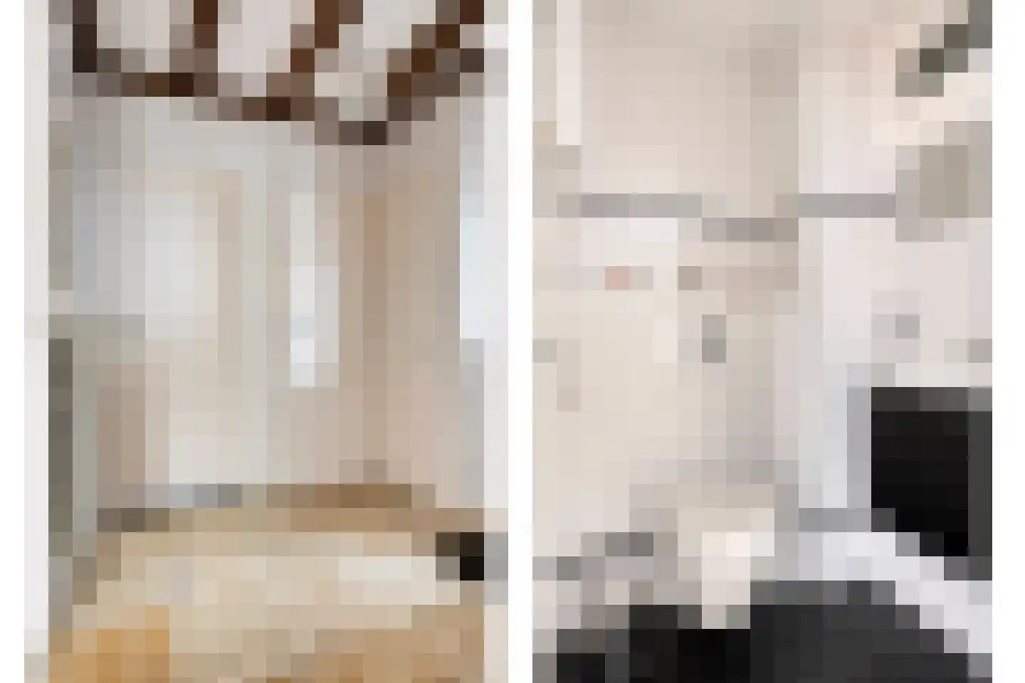 Costerman Boodtstraat 8 Goirle thumbnail 5