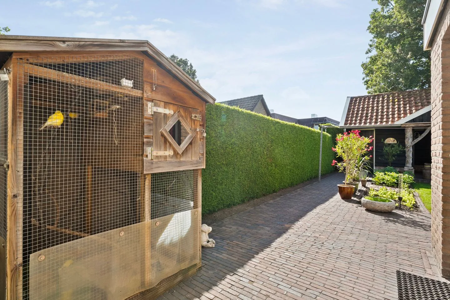 Costersland 3 Staphorst thumbnail 38