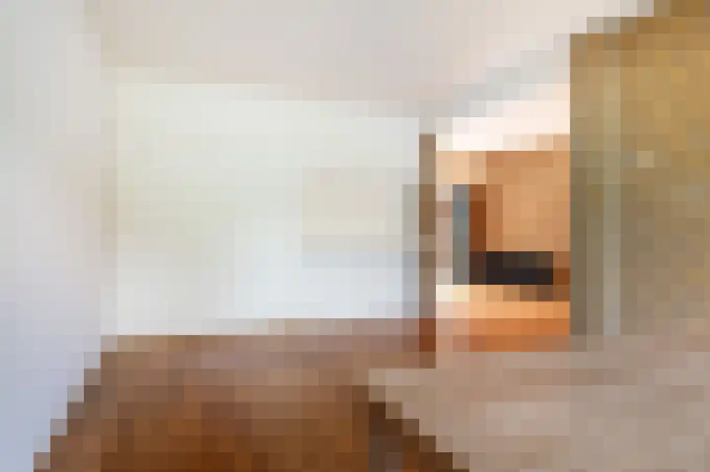 Costerstraat 17 Goor thumbnail 10