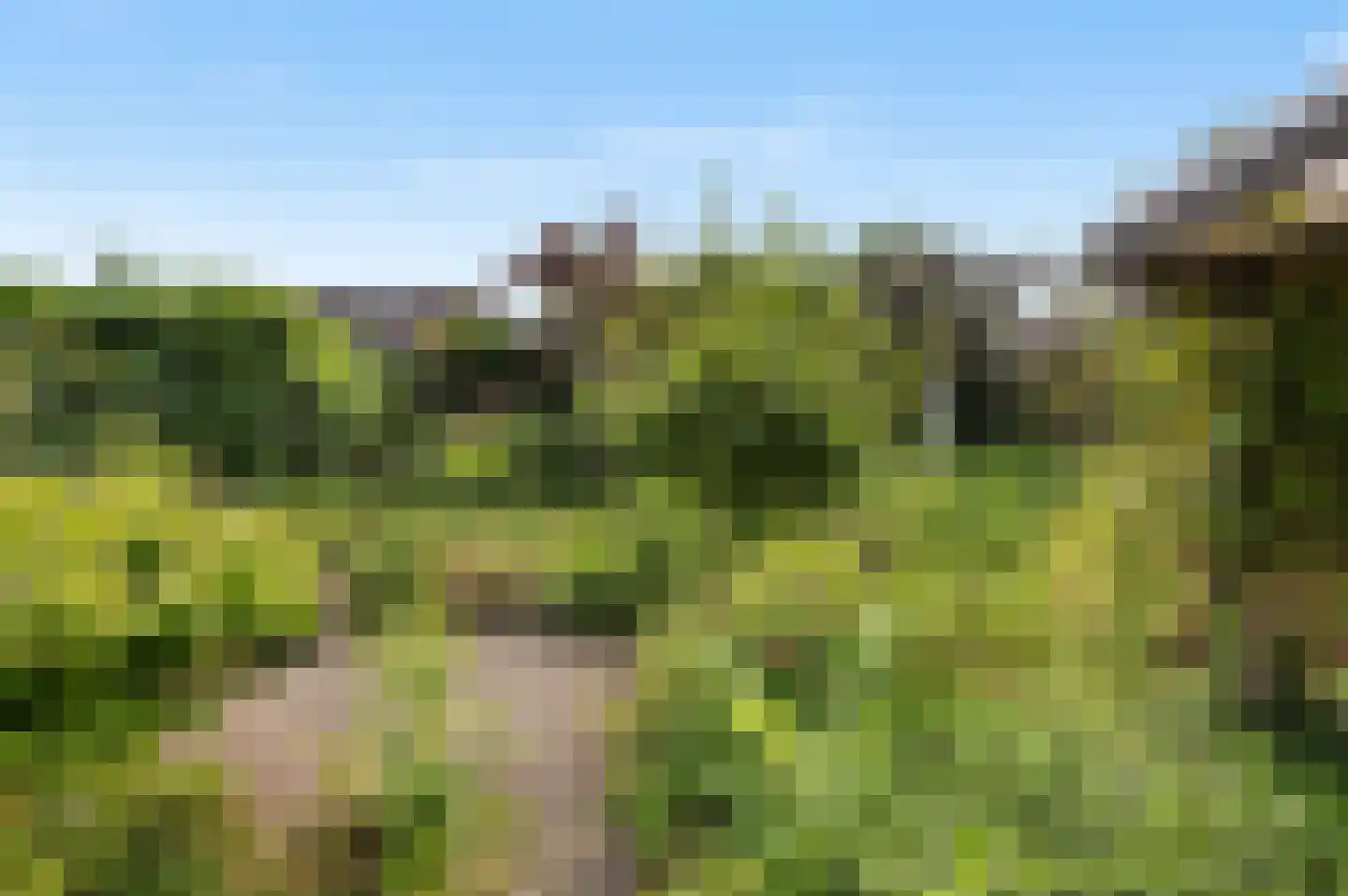 Costerstraat 17 Goor thumbnail 5