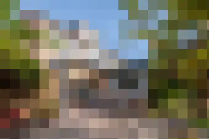 Costerstraat 9 Goor thumbnail 4