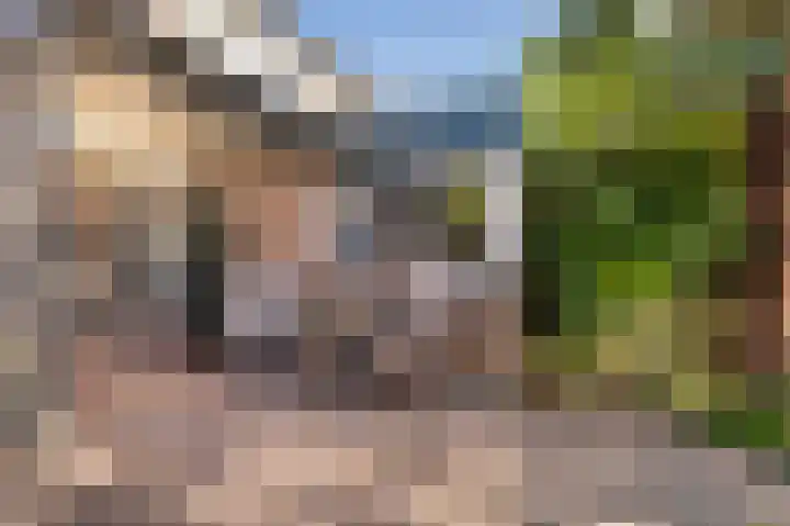 Costerstraat 9 Goor thumbnail 5
