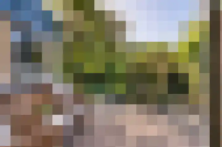 Costerstraat 9 Goor thumbnail 7