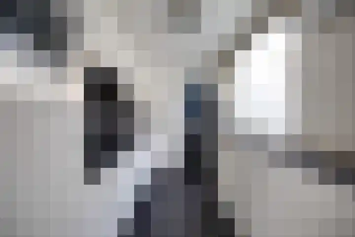 Costerusstraat 17 Woerden thumbnail 11