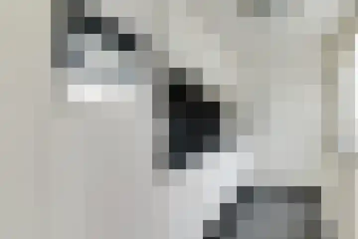 Costerusstraat 17 Woerden thumbnail 12