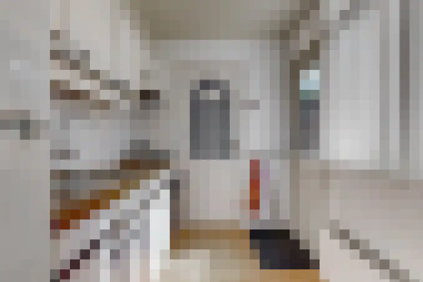 Costerusstraat 5 Woerden thumbnail 13