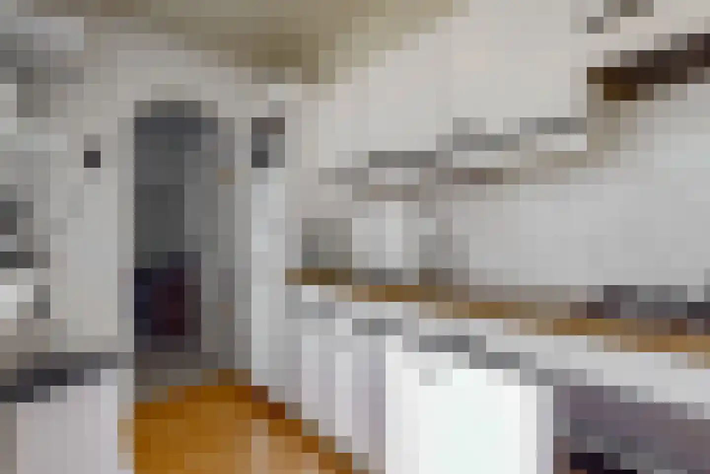 Costerusstraat 5 Woerden thumbnail 14