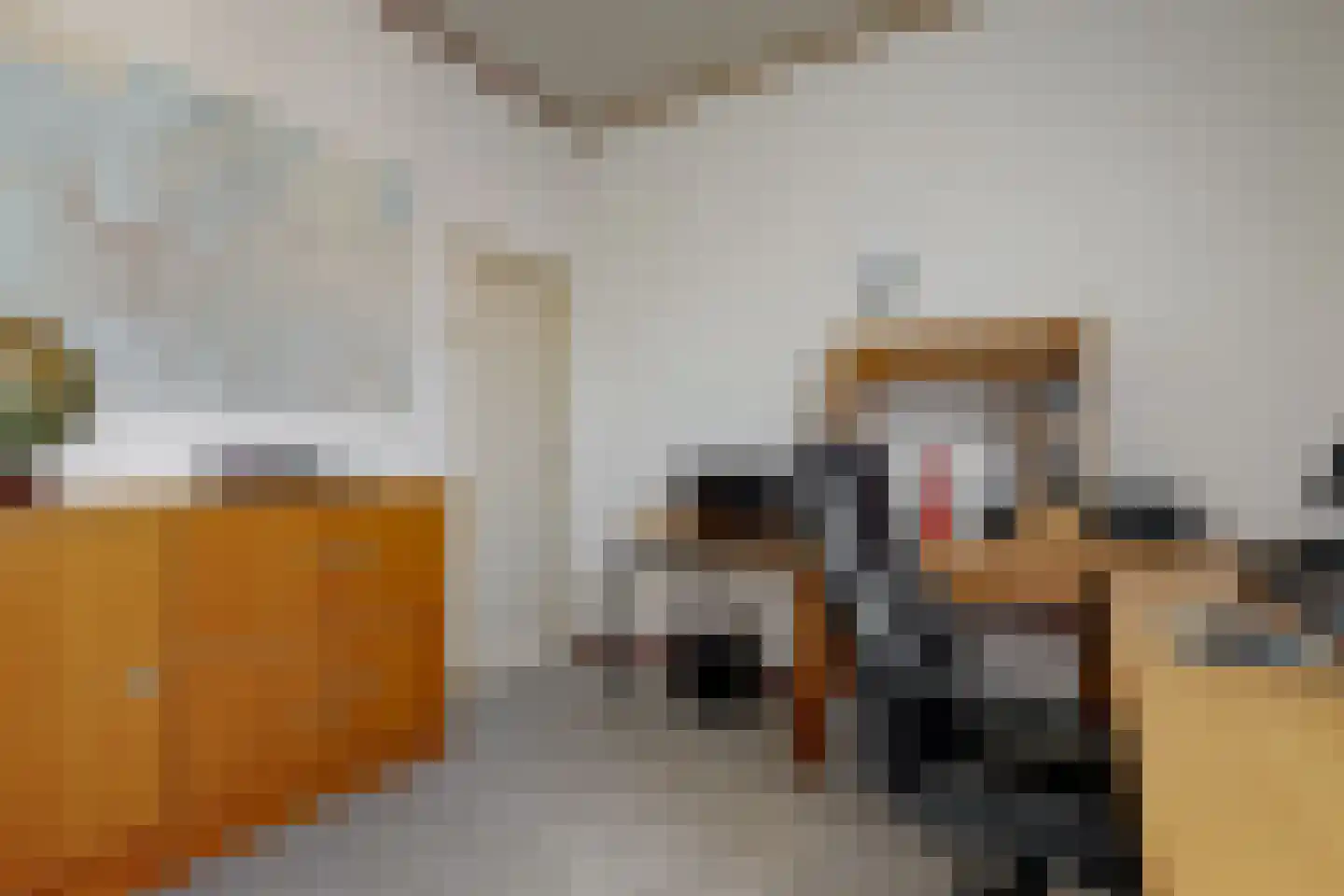 Costerusstraat 5 Woerden thumbnail 20
