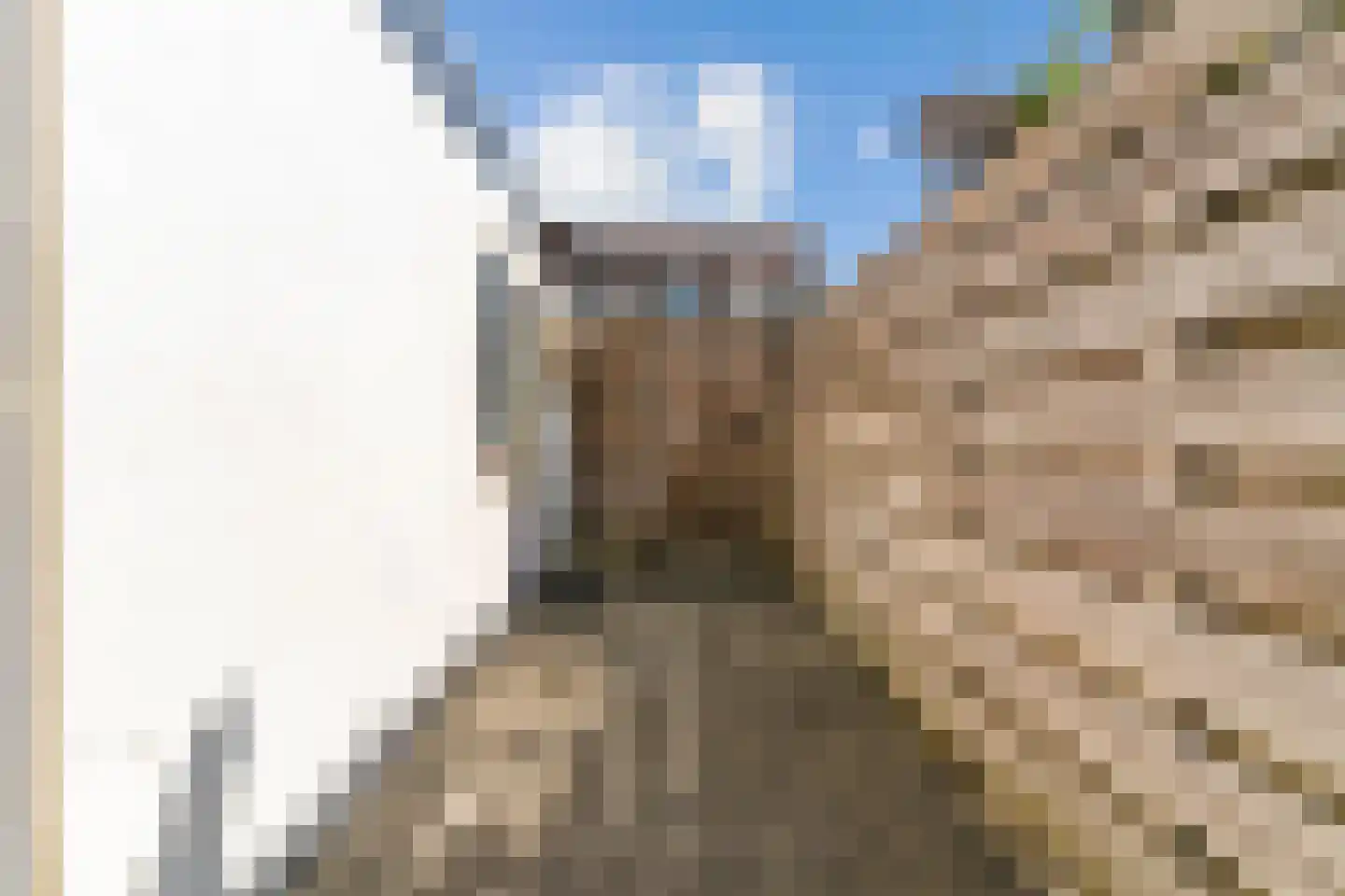 Costerusstraat 5 Woerden thumbnail 27