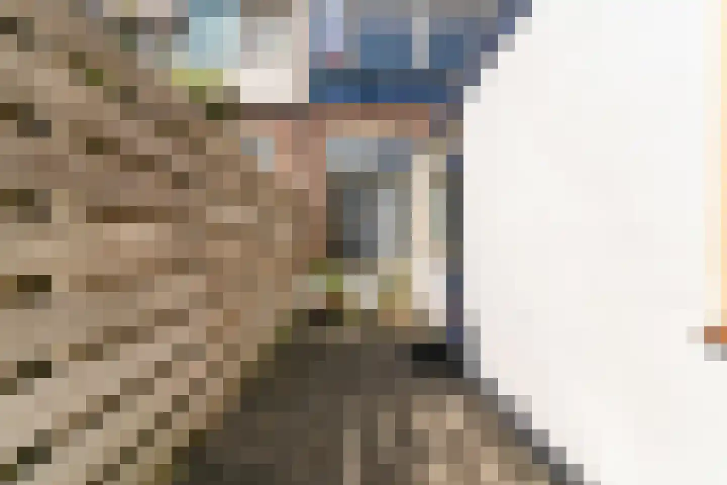 Costerusstraat 5 Woerden thumbnail 30