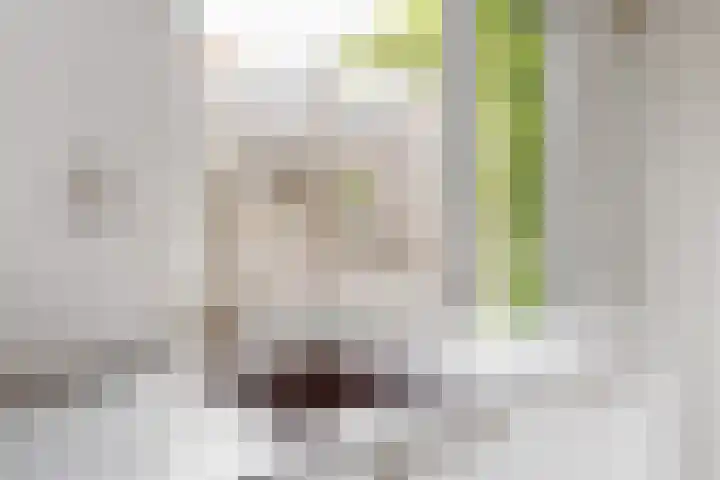 Costerusstraat 7 Woerden thumbnail 12