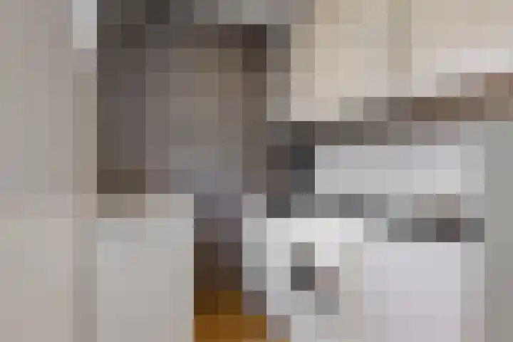 Costerusstraat 7 Woerden thumbnail 15