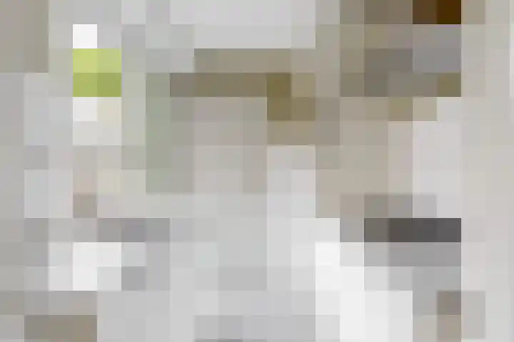 Costerusstraat 7 Woerden thumbnail 4