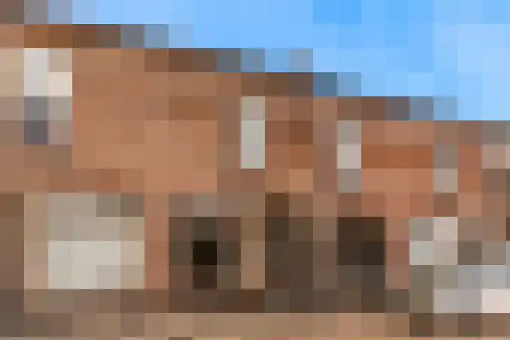 Costerusstraat 7 Woerden thumbnail 41