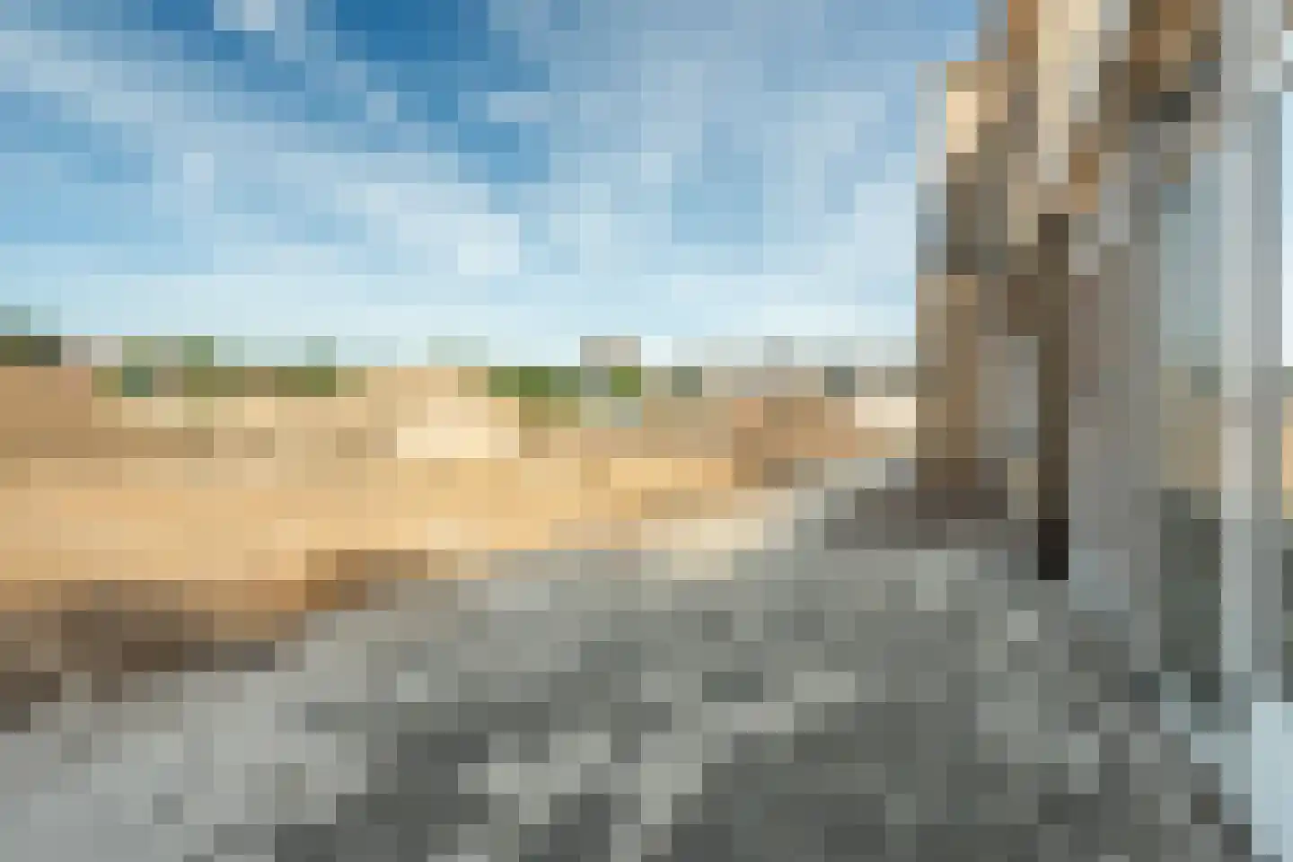 Costerweg 3 Wageningen thumbnail 25