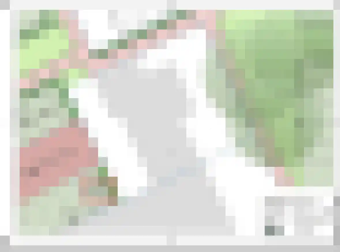 Costerweg 3 Wageningen thumbnail 38
