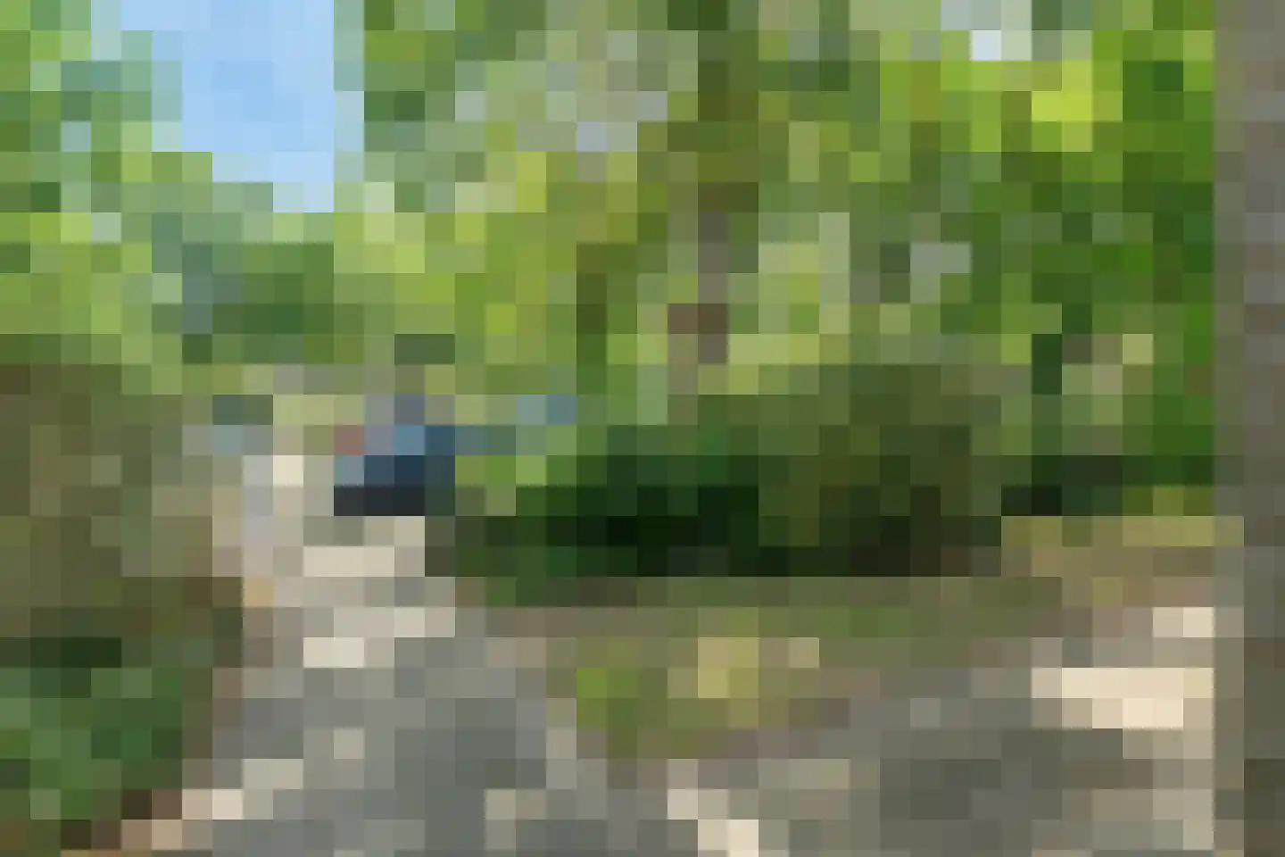 Costerweg 3 Wageningen thumbnail 4