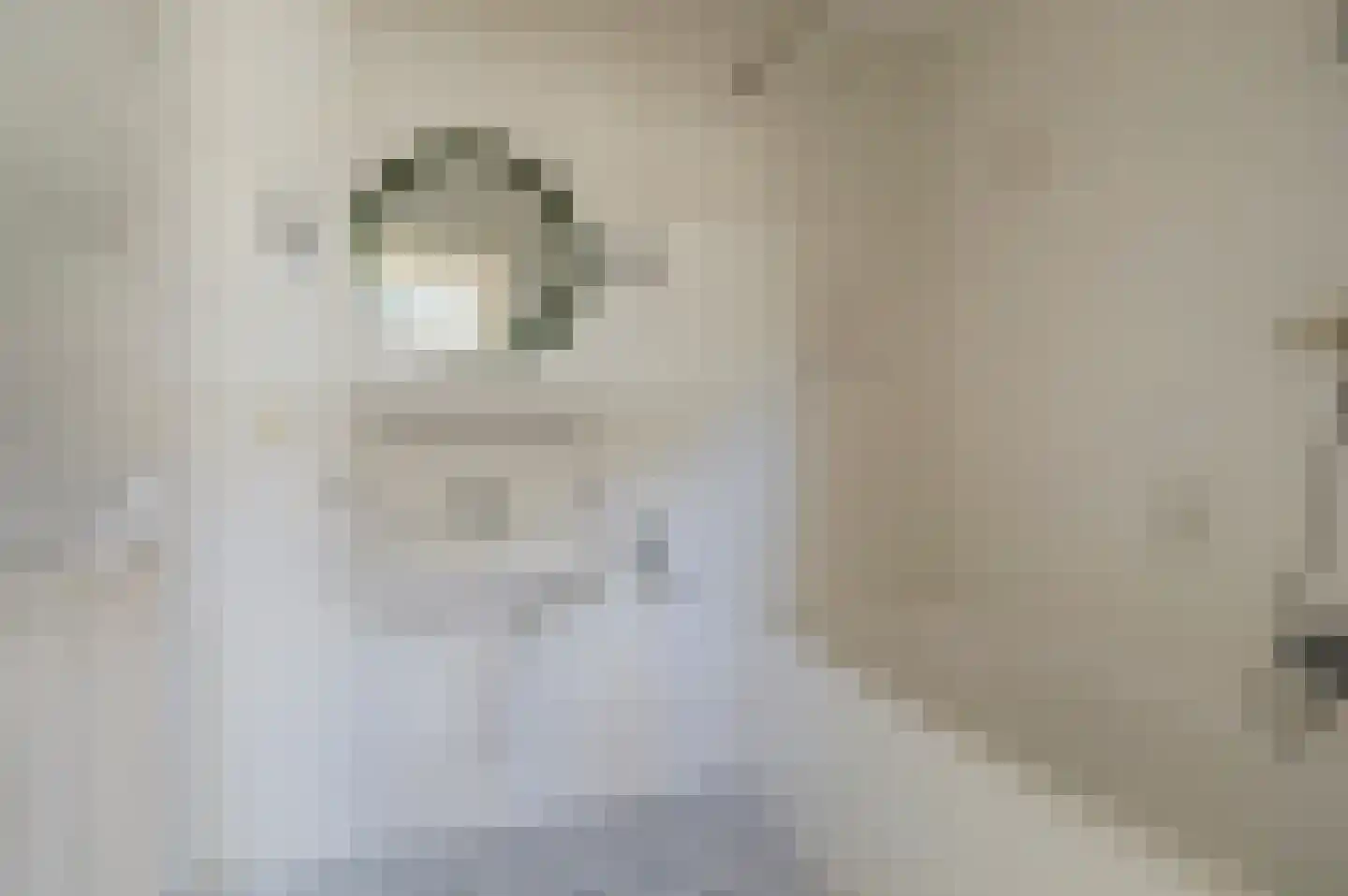 Costverloren 8 Bergeijk thumbnail 12