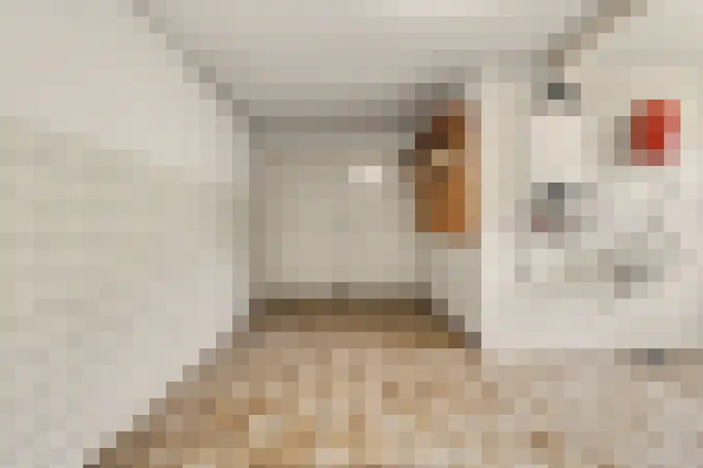 Costverloren 8 Bergeijk thumbnail 14