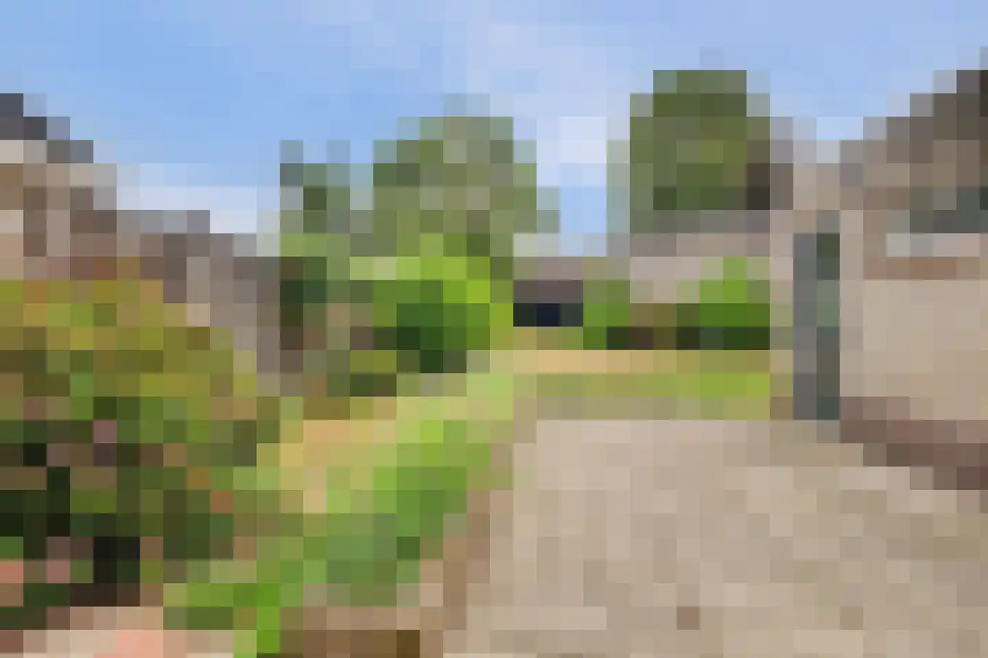 Costverloren 8 Bergeijk thumbnail 22