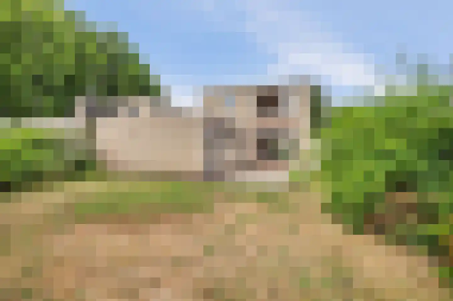 Costverloren 8 Bergeijk thumbnail 24