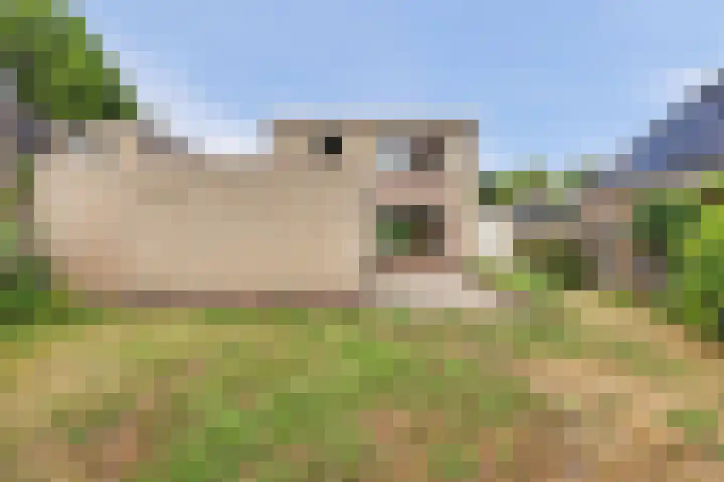 Costverloren 8 Bergeijk thumbnail 25