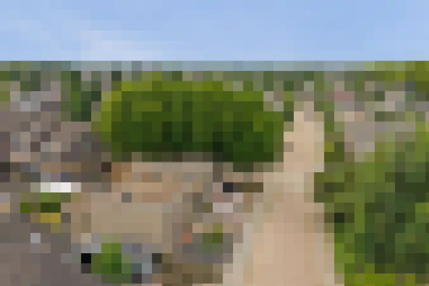 Costverloren 8 Bergeijk thumbnail 27