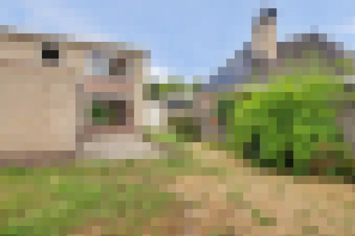 Costverloren 8 Bergeijk thumbnail 6