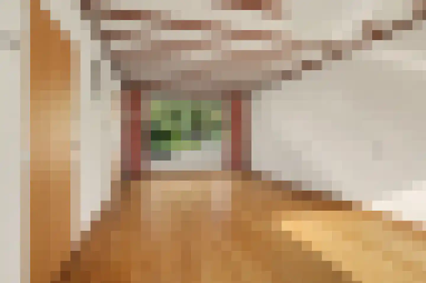 Costverloren 8 Bergeijk thumbnail 7