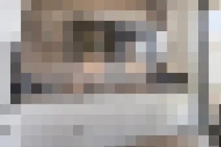 Cosunpark 1 C1 Breda thumbnail 10