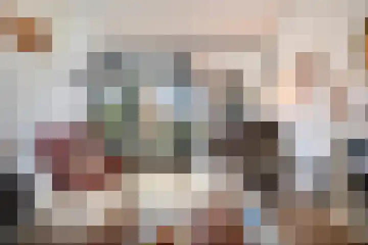 Cosunpark 1 C1 Breda thumbnail 15