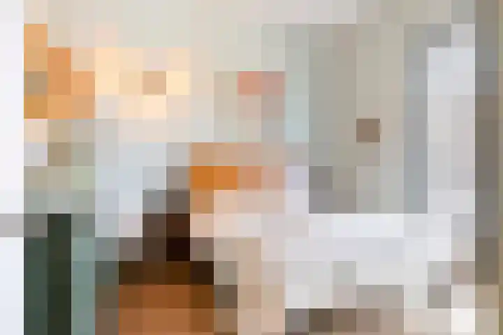Cosunpark 1 C1 Breda thumbnail 19