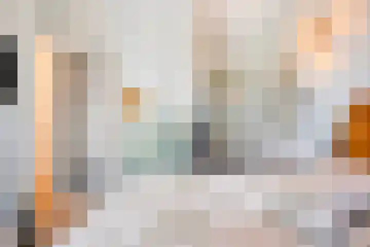Cosunpark 1 C1 Breda thumbnail 20