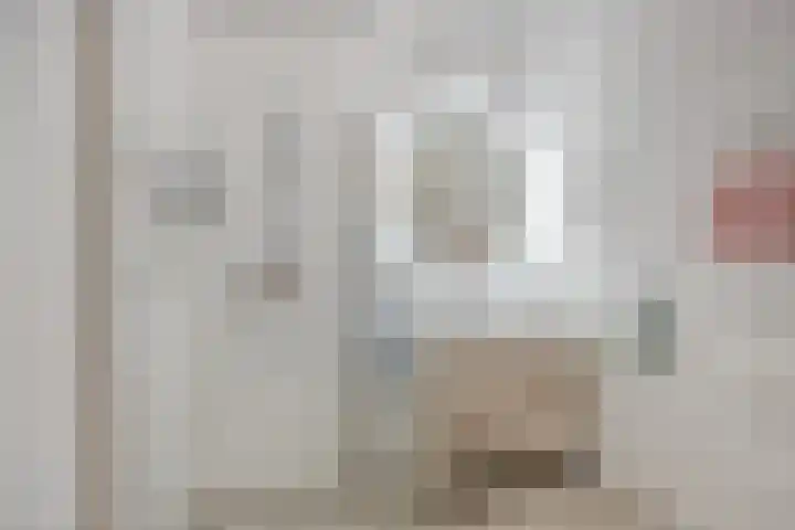 Cosunpark 1 C1 Breda thumbnail 22