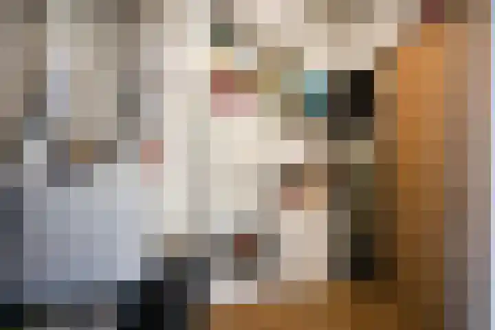 Cosunpark 1 C1 Breda thumbnail 24