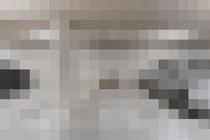 Cosunpark 1 C1 Breda thumbnail 27