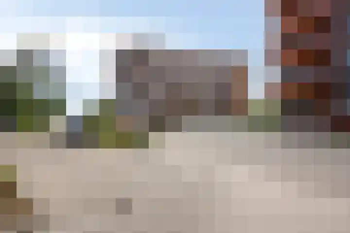 Cosunpark 1 C1 Breda thumbnail 30